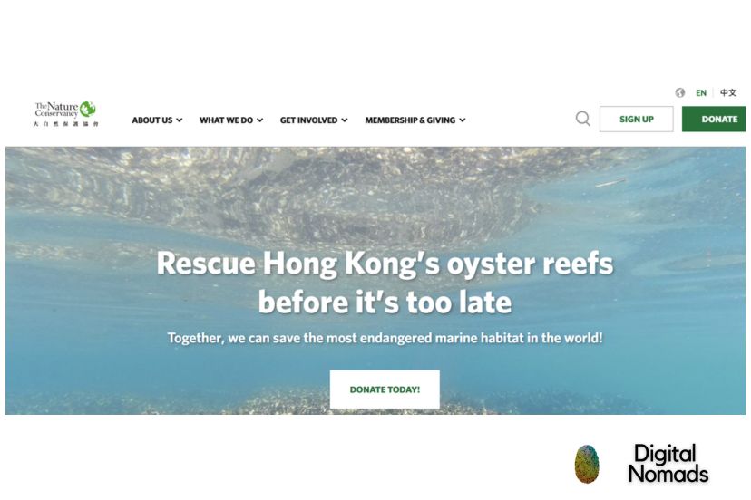TNC-Google-Ad-Grants-Campaign